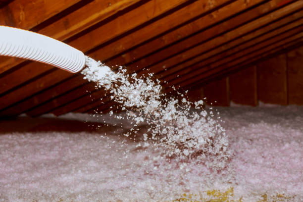 Types of Insulation We Offer in Limon, CO