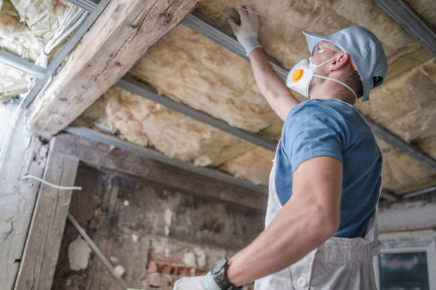 Best Insulation for Specific Applications in Limon, CO