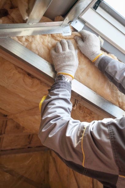 Best Eco-Friendly Insulation in Limon, CO