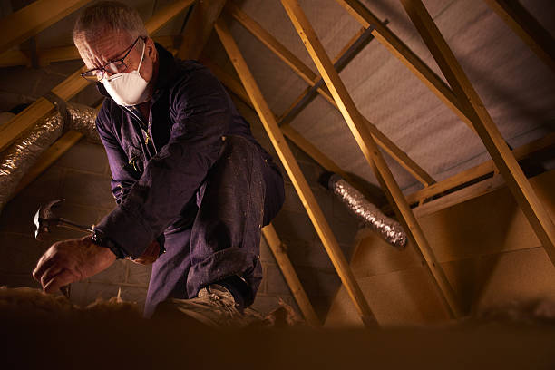 Professional Insulation Contractor in Limon, CO