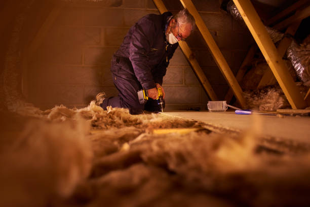 Best Geographic-Specific Insulation Services in Limon, CO