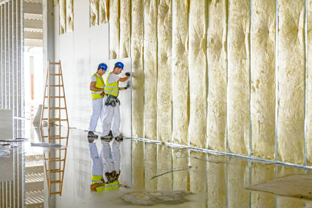 Best DIY Insulation Kits and Guidance in Limon, CO